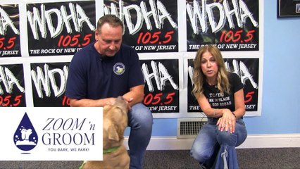 WDHA's Rock N' Ruff - "Joey"