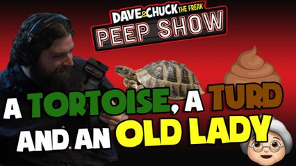 Peep Show: A Tortoise, A Turd and an Old Lady