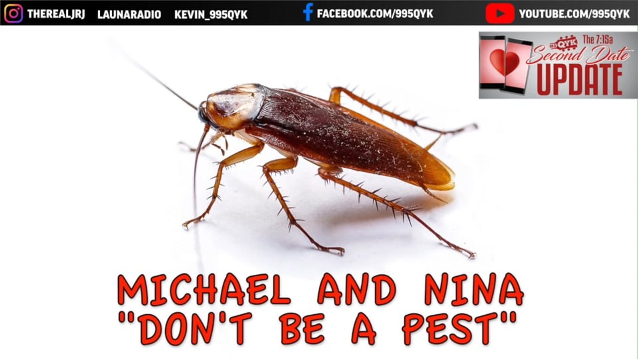 Second Date Update - Don't Be A Pest