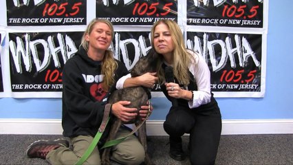 WDHA's Rock N' Ruff - "Liam"