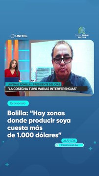 Bolilla: “Hay zonas donde producir soya cuesta más de 1.000 dólares”