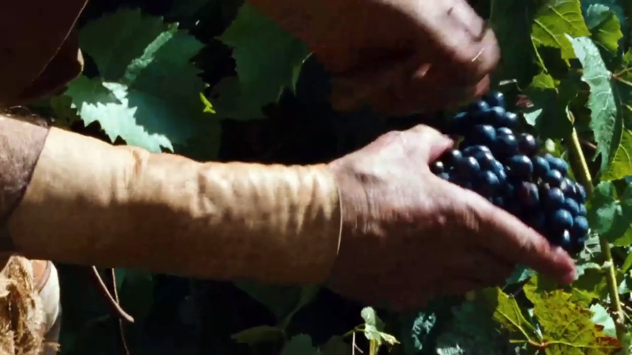 Der Engel mit den dunklen Flügeln | movie | 2009 | Official Trailer