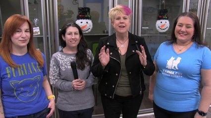 New Name, Happy Meow Year, Adoptables, Sponsor Opportunities, And So Much More