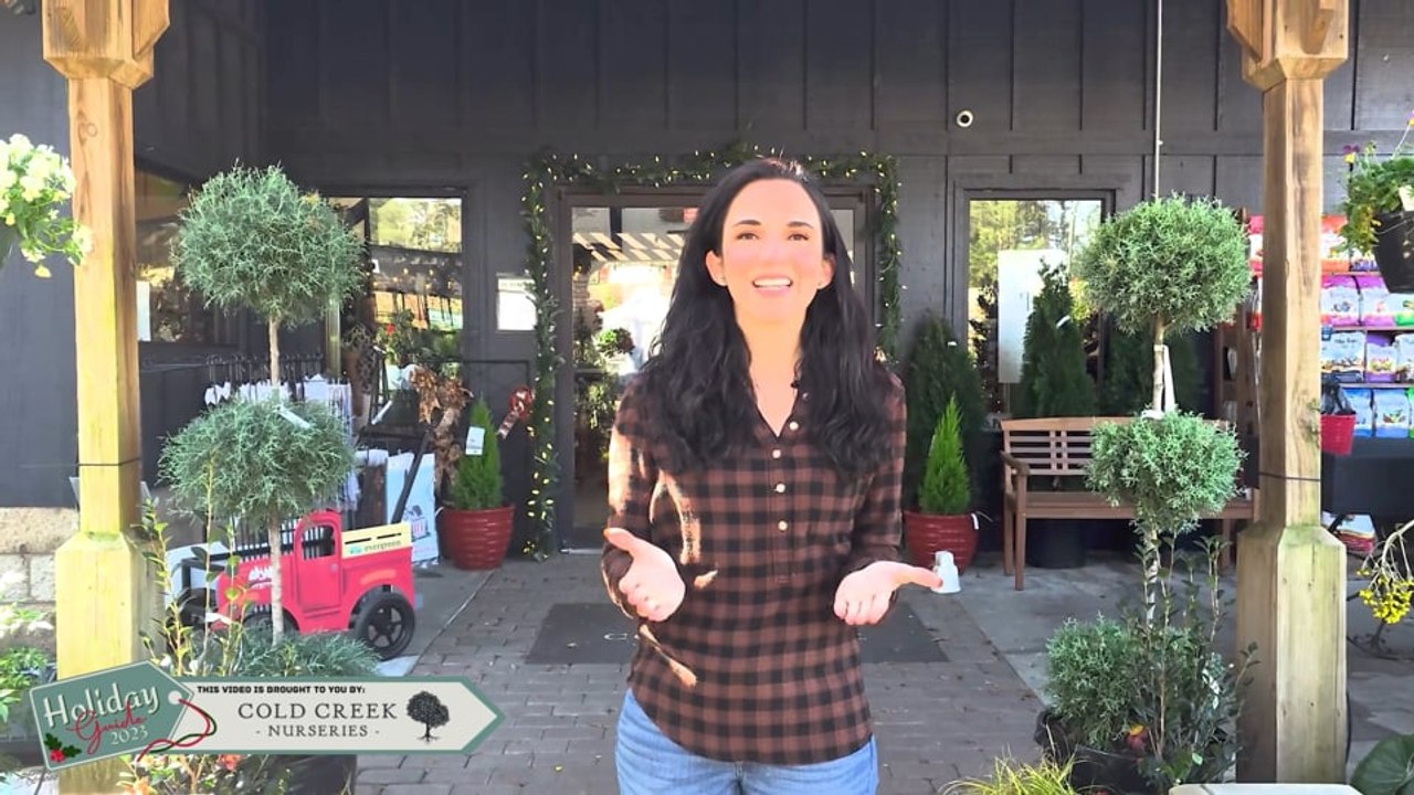 Cold Creek Nurseries - CSRA Holiday Guide 2023