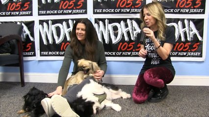 WDHA's Rock N' Ruff - Bohdi & Spaulding
