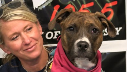 WDHA's Rock N' Ruff - "Macie"