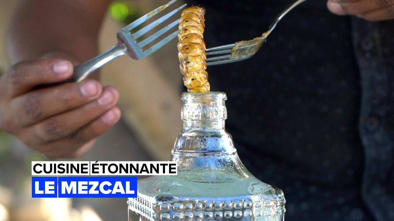 Cuisine étonnante : le mezcal contenant des larves