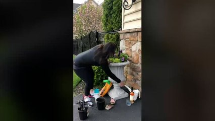 Kathy's Corona Activities - Gardening