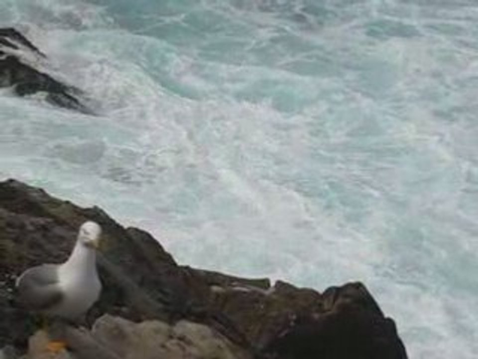 Donostia/San Sebastian : la mer