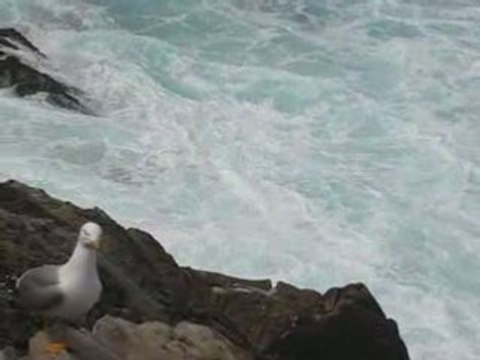 Donostia/San Sebastian : la mer