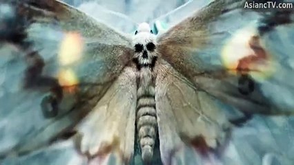 Hanging Mirrors Ep 11 English Sub