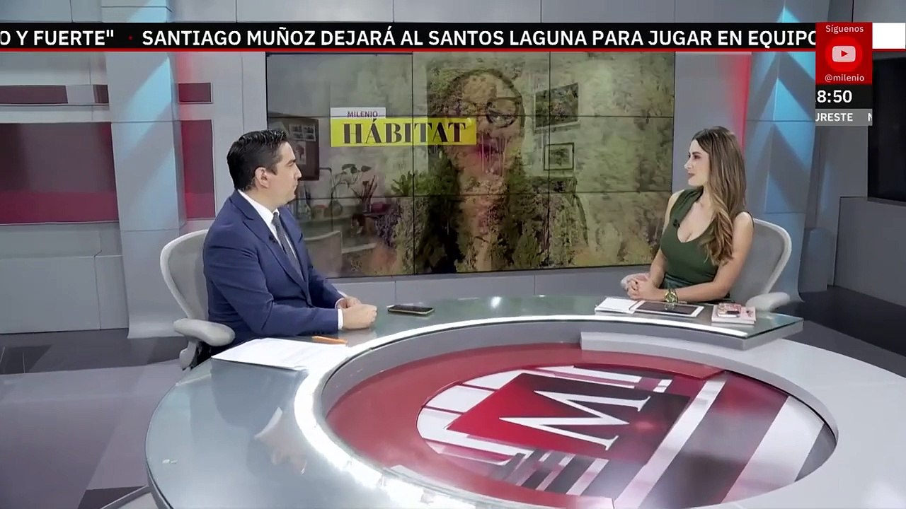 22 de abril, Día Internacional de la Madre Tierra | Milenio Hábitat