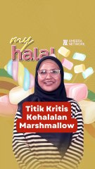 Titik Kritis Kehalalan Marsmallow