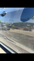 A bird flew into my car on the freeway. I was expecting a mark but not its whole  soul print