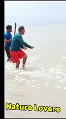 Biggest catch carp# record#nature#sea#fishing