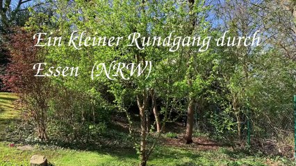 Ist der Essener Norden wirklich so grau wie viele vermuten?