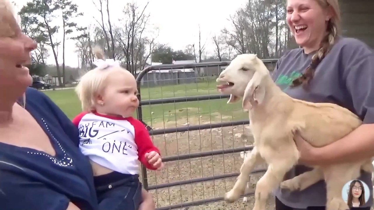 Funniest Cats And Dogs Videos 😂 - Best Funny Animal Videos 2023 😅 #LaughWithPets #CutestAnimalsEver#HilariousPets #TryNotToLaughChallenge