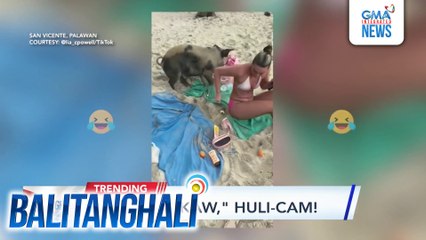 Baboy, na-hulicam na tumangay ng bag ng isang turista sa beach | Balitanghali
