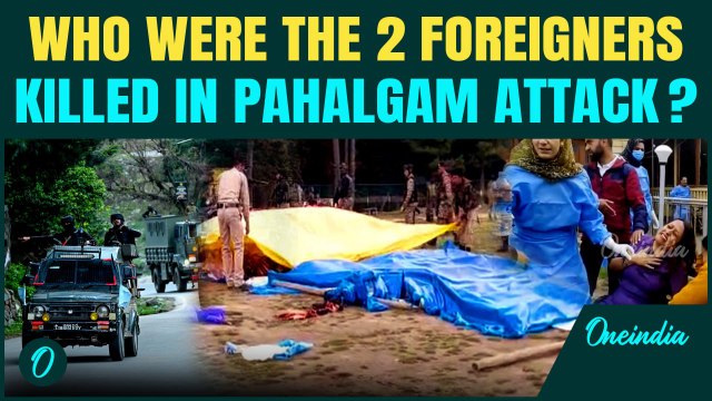 Pahalgam Attack: Two Foreign Tourists Among 28 Killed, Nepal and UAE Governments React with Outrage