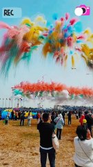 Wind & Color: Annual Kite Carnival