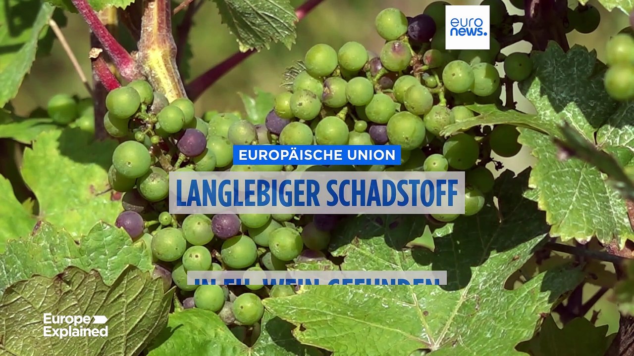 TFA: 'Ewiger Schadstoff' in europäischen Weinen nachgewiesen