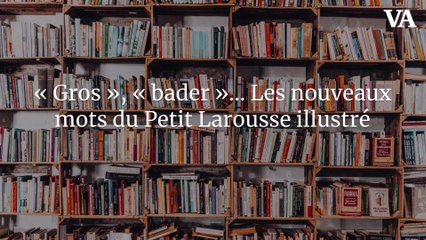 « Gros », « bader »… Les nouveaux mots du Petit Larousse illustré