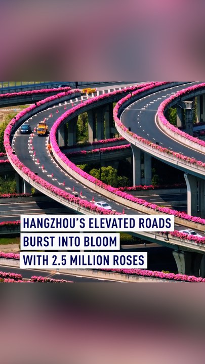 Hangzhou's elevated highways burst into bloom with 2.5 million roses