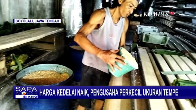 Harga Kedelai Impor Naik, Pengusaha Tempe di Boyolali Kecilkan Ukuran Produksi!