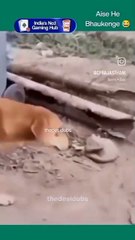 aese hi bhokenge| 19 20 ka hi tu fark hai| phele gobar uthao