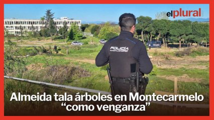Almeida tala árboles en Montecarmelo “como venganza” que paraliza su cantón de limpieza