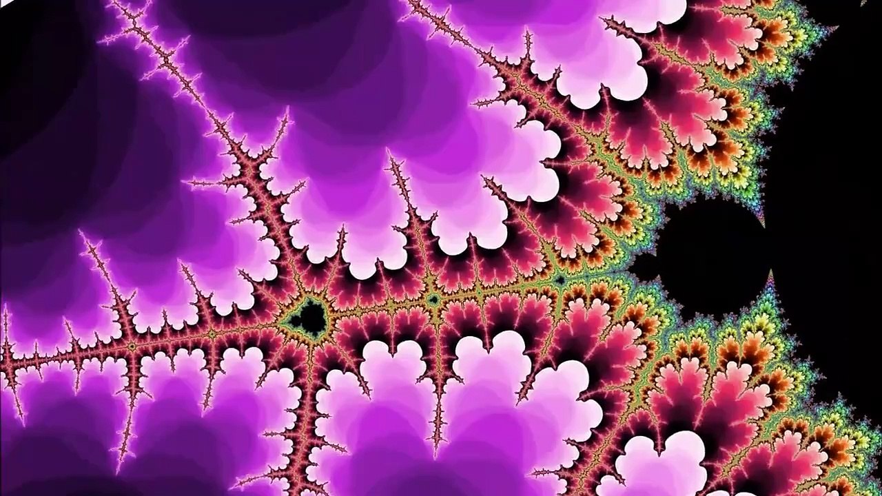 Pbs.Nova.Fractals.Hunting.The.Hidden.Dimension