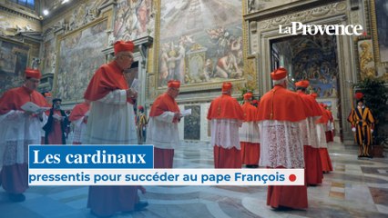 Les cardinaux pressentis pour succéder au pape François