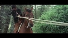 Django. Adiós! _ Polski Lektor _  Western