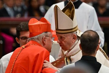 Yorkshire cardinal to choose next Pope, Chancellor meets IMF and Wildlife - News headlines