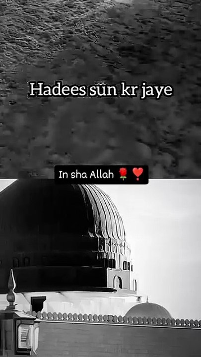 Facebook_1738939365878(360p)