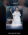 TOO LATE FOR SORRY