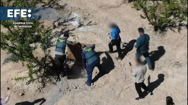 Cinco investigados por transformar en Sevilla 400 hectáreas de secano en regadío