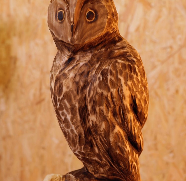 TRAVAIL DU BOIS : Transformer le bois en art !