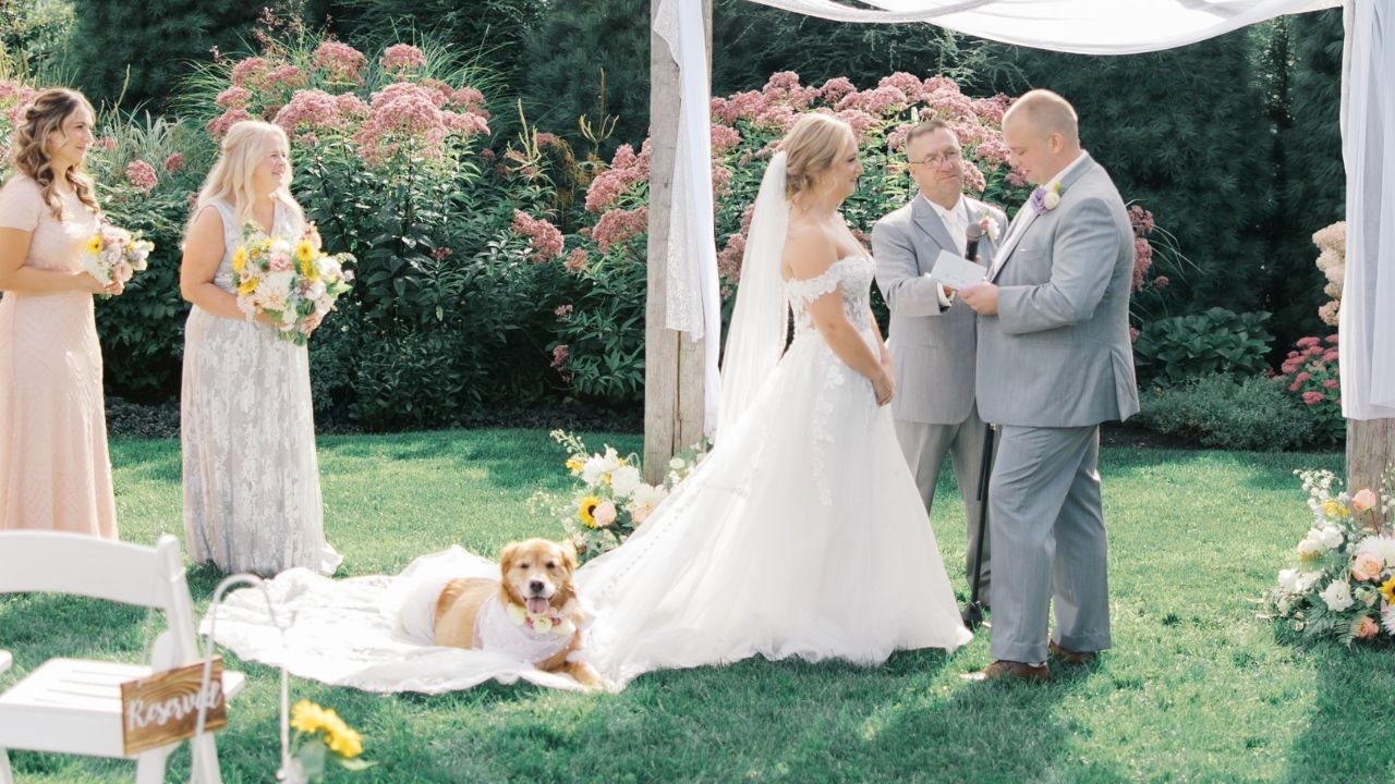 Couple Warm Hearts When They Include Their Terminally-Ill Dog In Wedding Celebrations | Happily TV