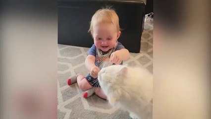 Cutest Babies Play With Dogs And Cats Compilation    Cool Peachy