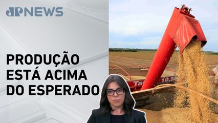 Mariana Grilli: Departamento de Agricultura dos EUA está otimista com a safra 2025