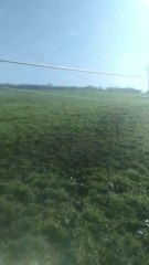 Una vaca deja sin conexión de red una zona de Bizkaia