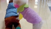dog & child compilation