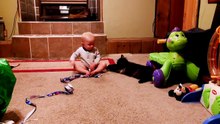 Baby And Cat Fun #2 - Funny Baby Videos (720