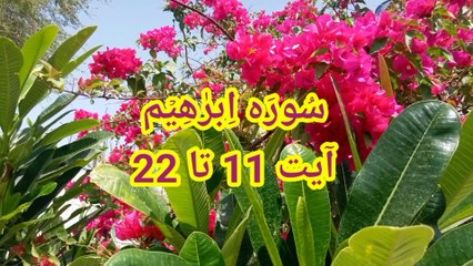 Surah Ibrahim ki tilawat | Surat Ibraheem | quran recitation | quran tilawat | quran tajwid |