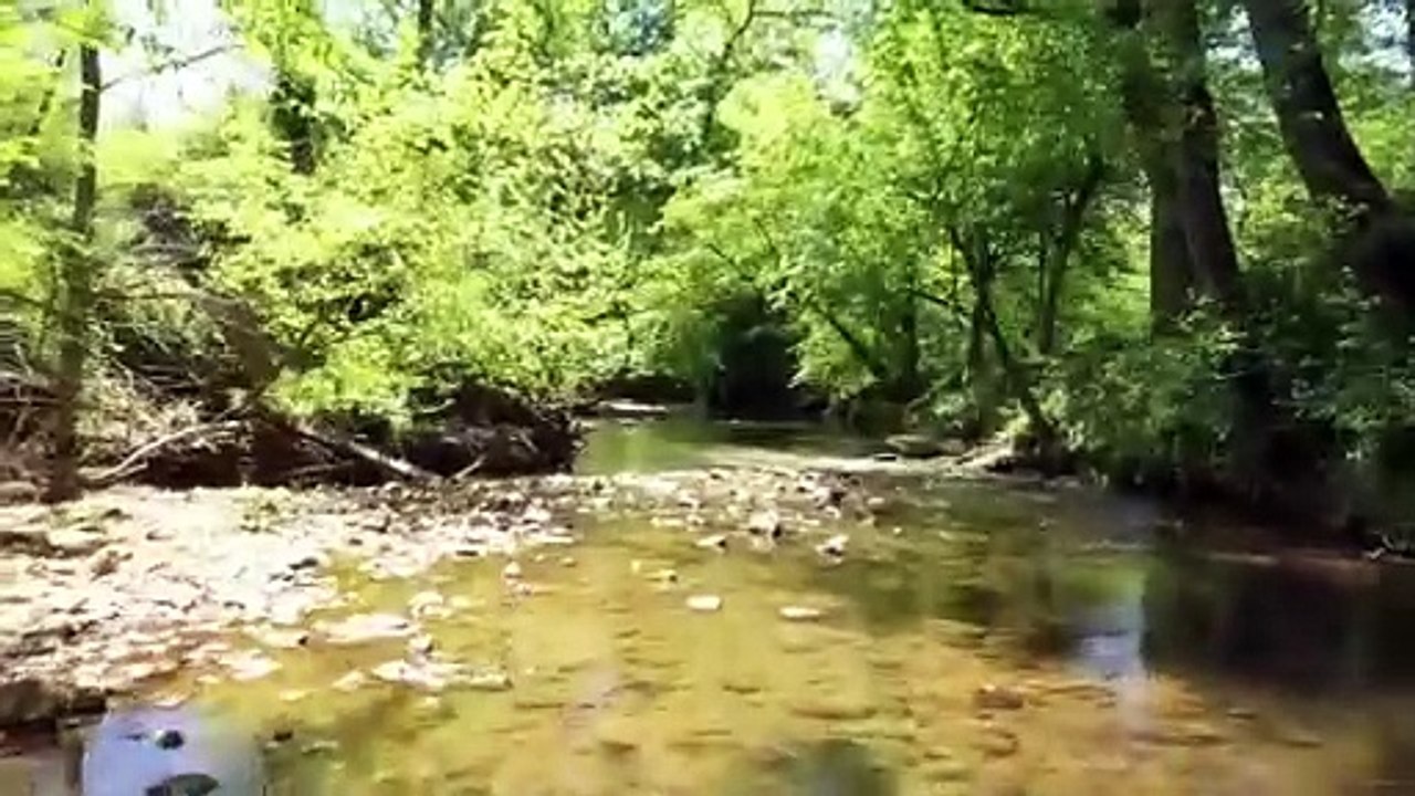 Unrestricted Large Acreage Lots - 10+ acre lots in Wilkes County NC- May 11th Liquidation Sale