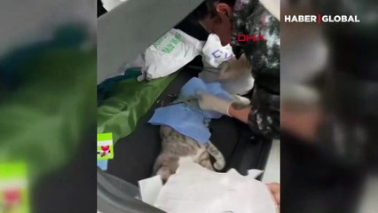 Depreme ameliyatta yakalanan veteriner kediyi de alıp otomobilde operasyona devam etti