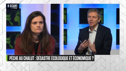 SMART IMPACT - Pêche au chalut : désastre écologique et économique ?