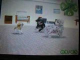 La danse des fleurs dans nintendogs xD