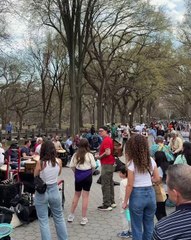 Central Park was buzzing today_ Warm weather brought the city out to play _ picnics_ strolls_ and sunshine everywhere. ☀️🌳 _CentralPark _nyc _sunmer_1